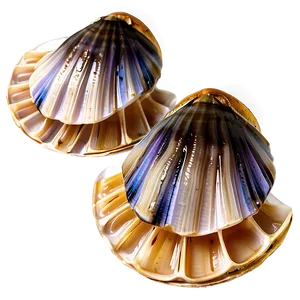 Steamed Clam Delicacy PNG Xoi PNG