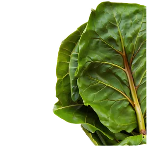 Steamed Collard Greens Png Dsi85 PNG image