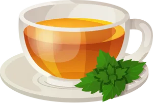 Steaming Green Tea Cup Vector PNG