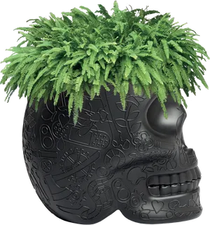 Steampunk Skull Planterwith Ferns PNG image