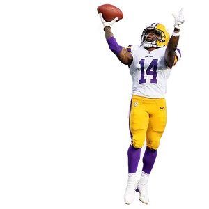 Stefon Diggs Game-winning Catch PNG 14