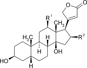 Steroid_ Structure_ Schematic PNG image