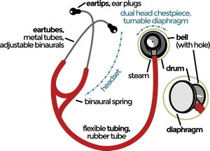Stethoscope Components Illustration PNG image