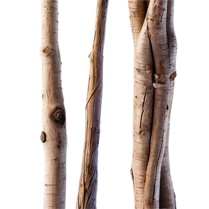 Sticks Abstract PNG 06132024 PNG