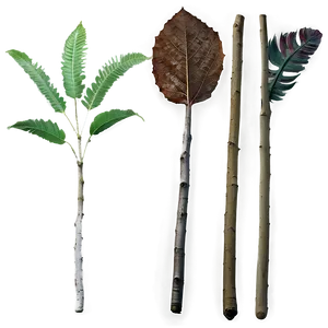 Sticks And Leaves PNG Nkr PNG