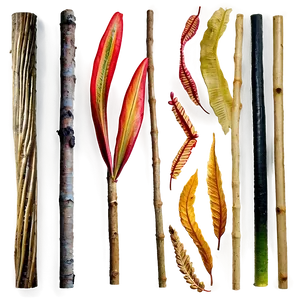Sticks And Leaves PNG Sqk PNG