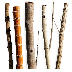 Sticks Arrangement PNG 33