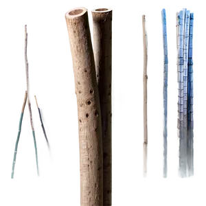 Sticks C PNG image