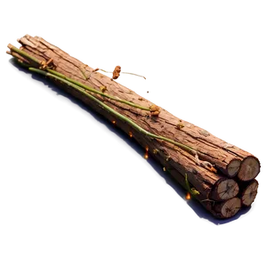 Sticks For Campfire PNG 06132024