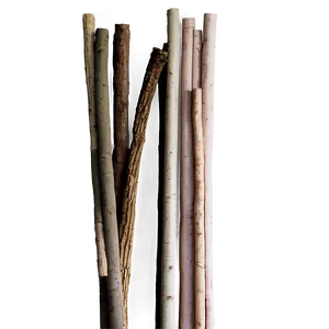 Sticks In Bundle PNG 06132024 PNG