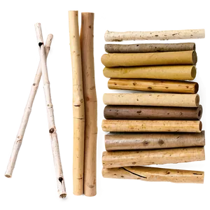 Sticks In Bundle PNG 06132024 PNG