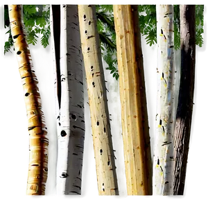 Sticks In Forest PNG Efn PNG