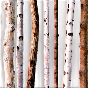 Sticks In Forest PNG Fly18 PNG