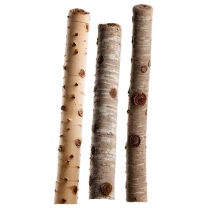 Sticks In Nature PNG 06132024