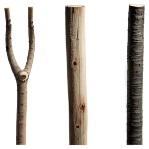 Sticks In Nature PNG 10