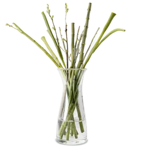 Sticks In Vase PNG Yyy