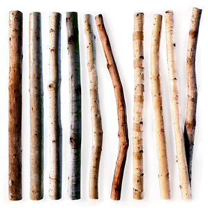 Sticks Texture PNG 06132024