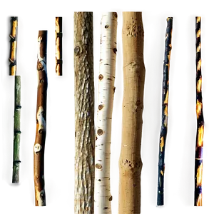 Sticks Texture PNG 06132024