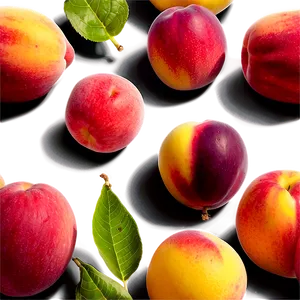 Stone Fruit Ensemble PNG 05212024