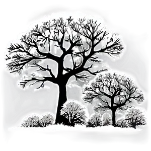 Stormy Forest Silhouette PNG 06262024