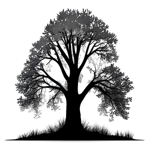 Stormy Forest Silhouette PNG Ppr12 PNG
