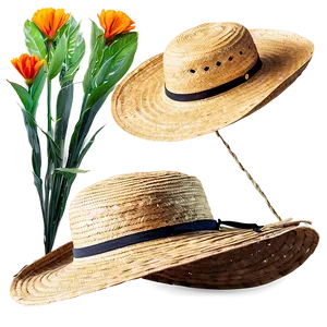 Straw Hat For Summer Days PNG 45 PNG