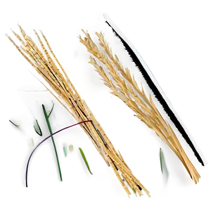 Straw-like Dry Grass PNG 06262024