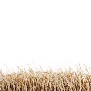 Straw-like Dry Grass PNG Hxv