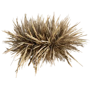Straw-like Dry Grass PNG Tam PNG