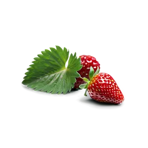 Strawberry Field Png 19 PNG image
