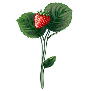 Strawberry Patch PNG 05042024 PNG
