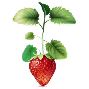 Strawberry Plant Png 15 PNG image