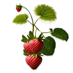 Strawberry Plant Png Dkl62 PNG image