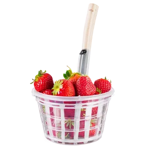 Strawberry Season PNG 05042024 PNG