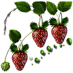 Strawberry Vine PNG 22 PNG