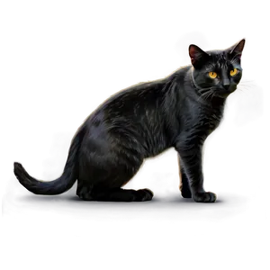 Stray Cat PNG 05232024
