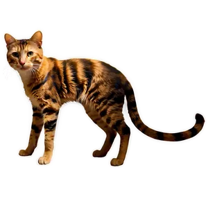 Stray Cat PNG 44