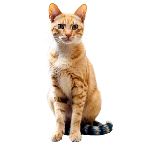 Stray Cat Png Joc PNG image