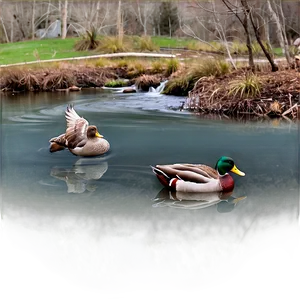 Stream With Ducks Png 91 PNG image