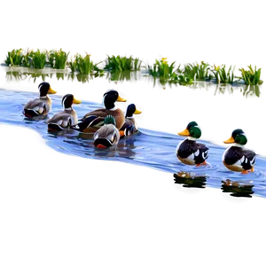 Stream With Ducks PNG Jni64