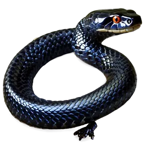 Striking Black Snake PNG 06132024