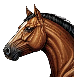 Striking Horse Head Art PNG 06122024