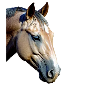 Striking Horse Head Art PNG Rqt46 PNG