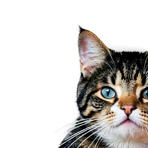 Striped Cat Face PNG 82