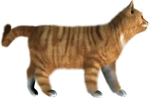 Striped Orange Kitten Walking PNG