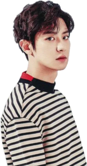 Striped Sweater Music Artist PNG image