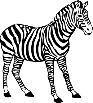 Striped Zebra Illustration PNG image