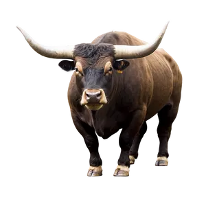 Strong Bull PNG 05062024