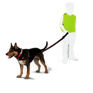 Strong Dog Leash PNG Oyh6 PNG