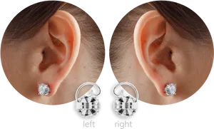 Studand Hoop Earrings Comparison PNG